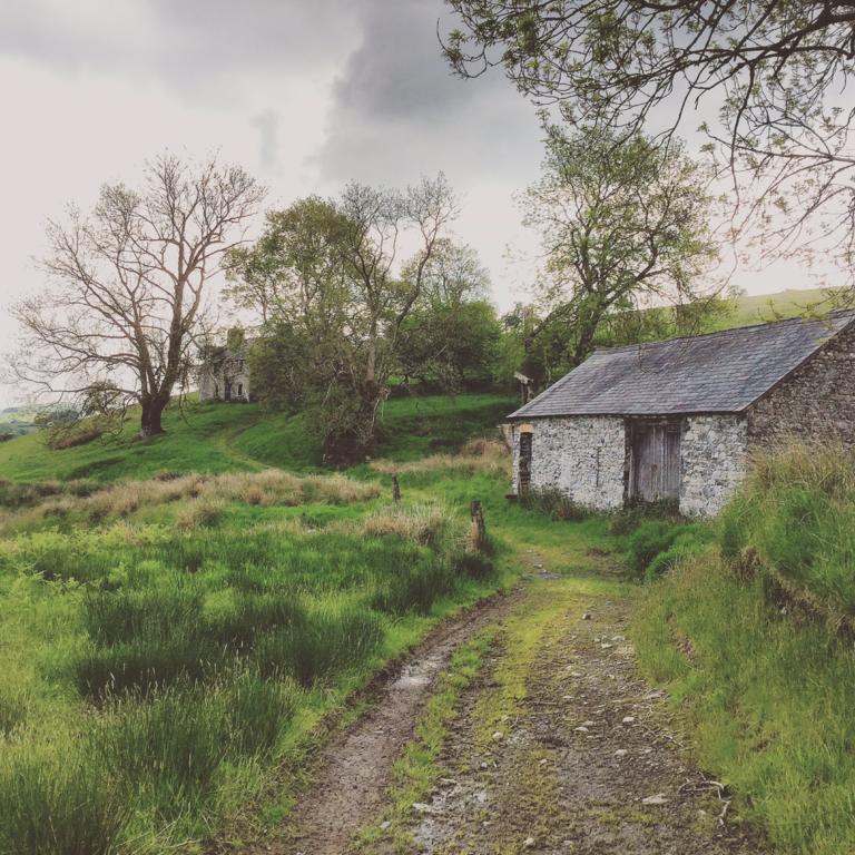 Maes Y Gwaelod Bed and Breakfast Llanwrtyd Wells Εξωτερικό φωτογραφία
