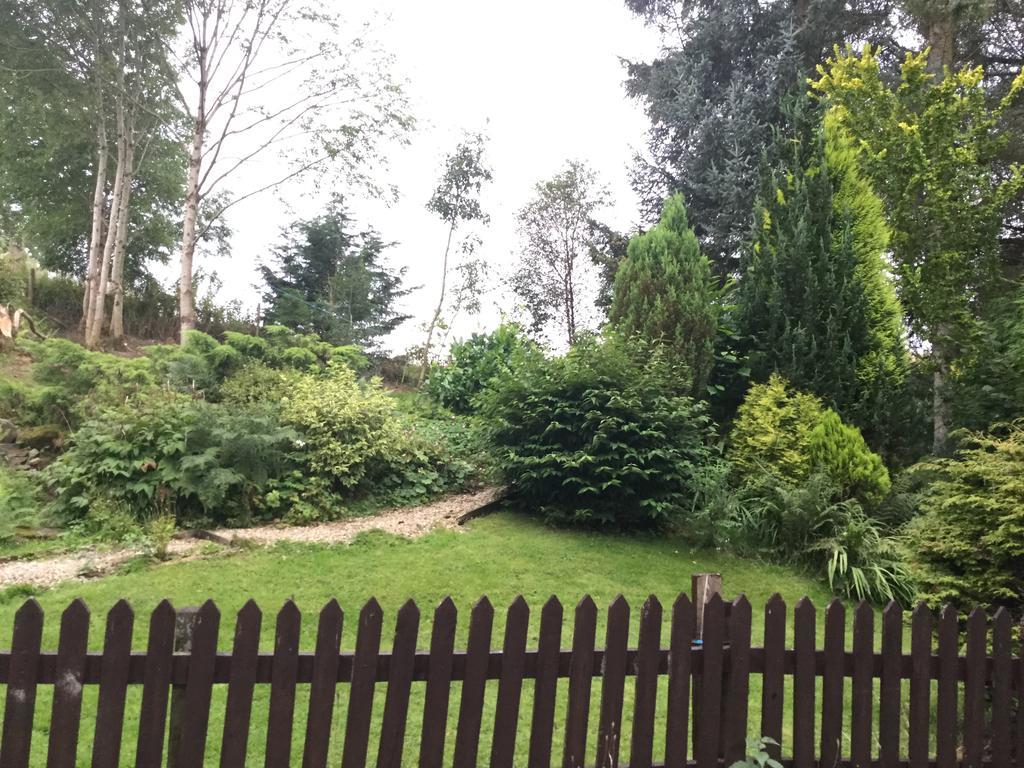Maes Y Gwaelod Bed and Breakfast Llanwrtyd Wells Εξωτερικό φωτογραφία